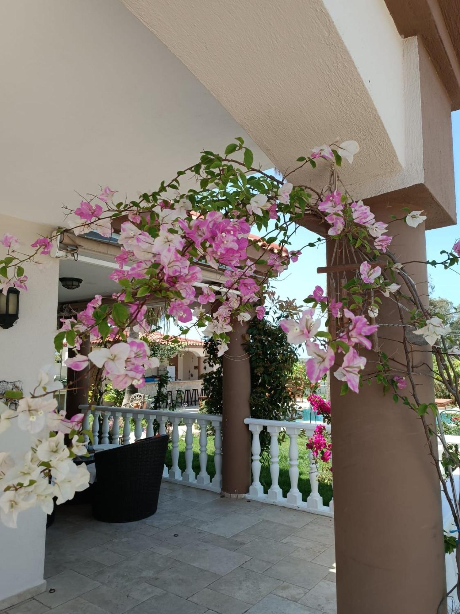 Villa Bade Dalyan Εξωτερικό φωτογραφία