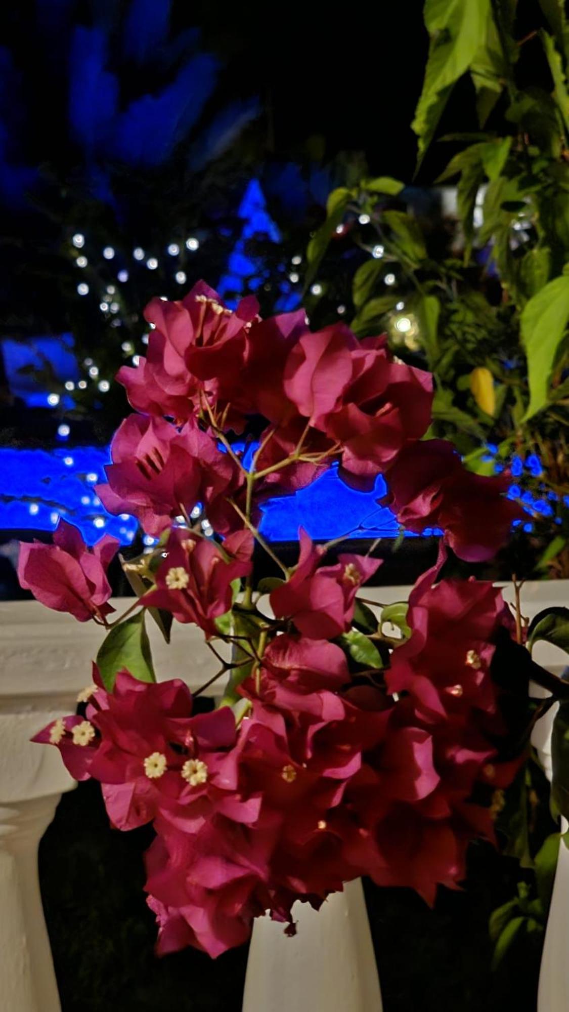 Villa Bade Dalyan Εξωτερικό φωτογραφία